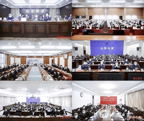 第二批政法隊(duì)伍教育整頓工作推進(jìn)會召開